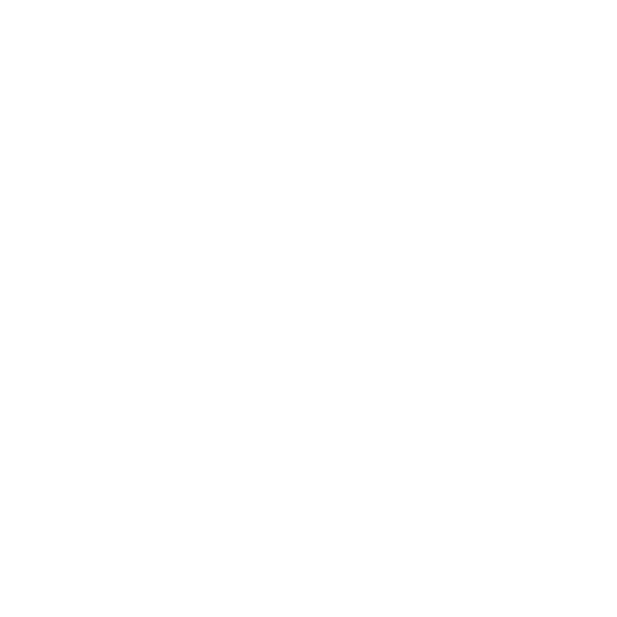 Logo Lady Art Car